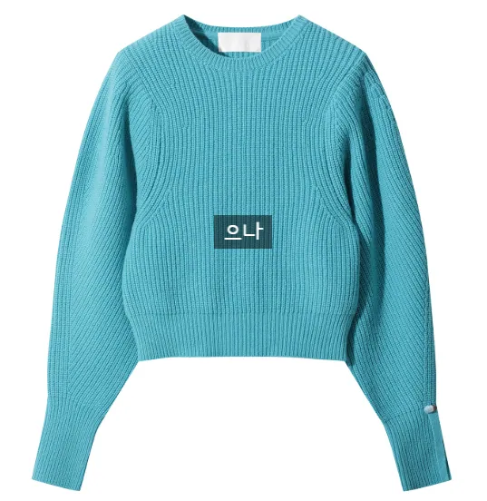 르캐시미어 (LE CASHMERE) Volume Sleeve Sweater (Blue) D5WAW24103BUX